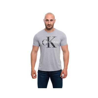 Calvin Klein Gray Men's T-Shirt