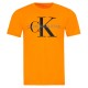 Calvin Klein Orange Men's T-Shirt